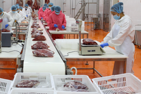 食品加工业.png 食品加工业.png